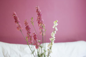 pink flowers